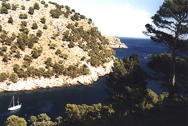 a quiet bay with clear water