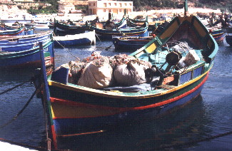 Luzzo