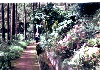 Spaziergang entlang einer Levada