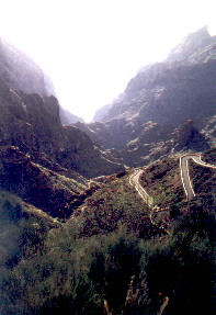 Hinunter in die �ppige Vegetation