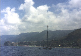 Schwertfischf�nger